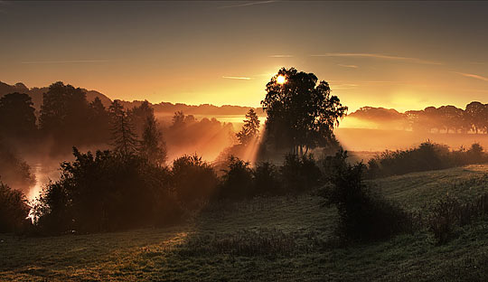 Morning idyll