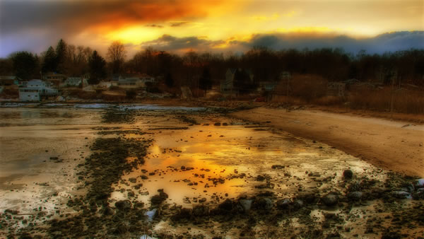 Mulberry Point #4