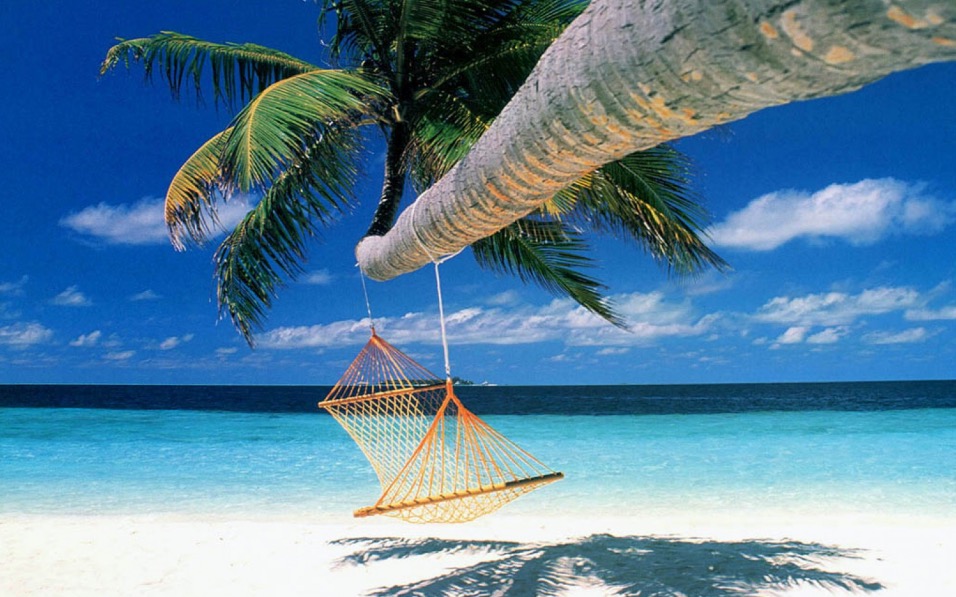 Relax – Hammock Hanging from Palm Tree