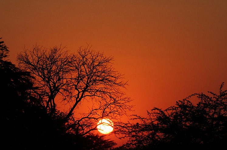 Sunrise at Sabiepark