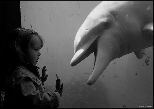 The encounter by Rene Mensen