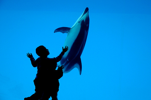 communication by きうこ