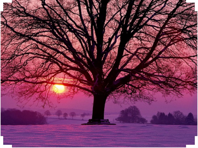 winter sunrise