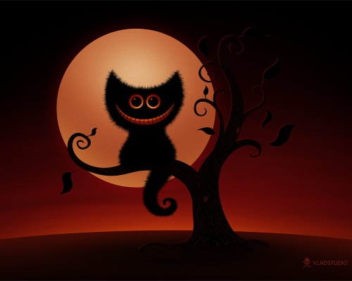 A Chishire Kitten