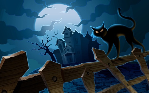 Cat on Fence