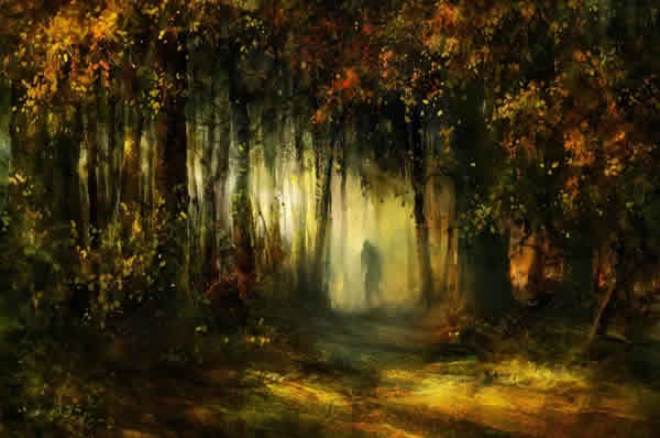 Dark Forest