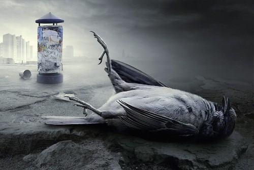 Dead Sparrow