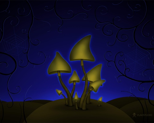 Mashrooms
