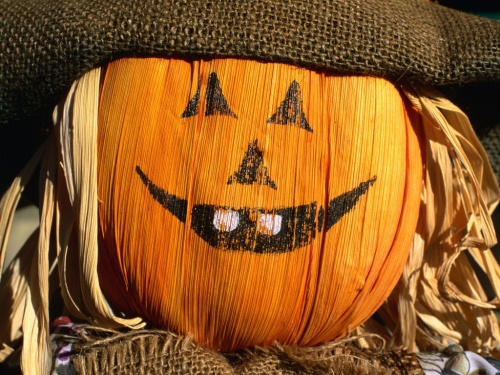 Pumpkins Face