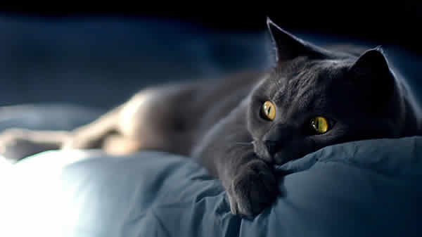 Turn this scary movie off!