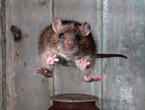 All in perfect framing