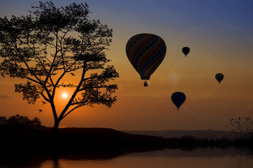 California Dreamin' by lee sie