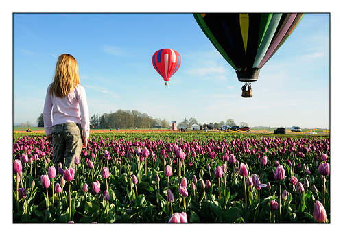 Hot Air Balloon Rides