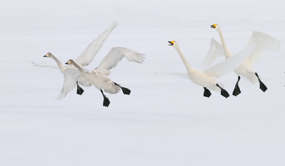 Steady As It Goes Kids