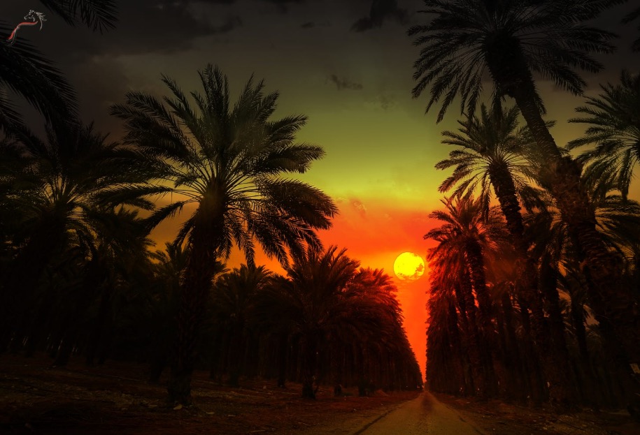 Sunset Ein Gedi