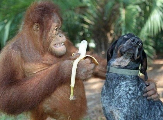 What dating felt like