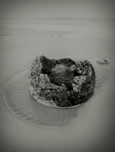 radiating outward from the core