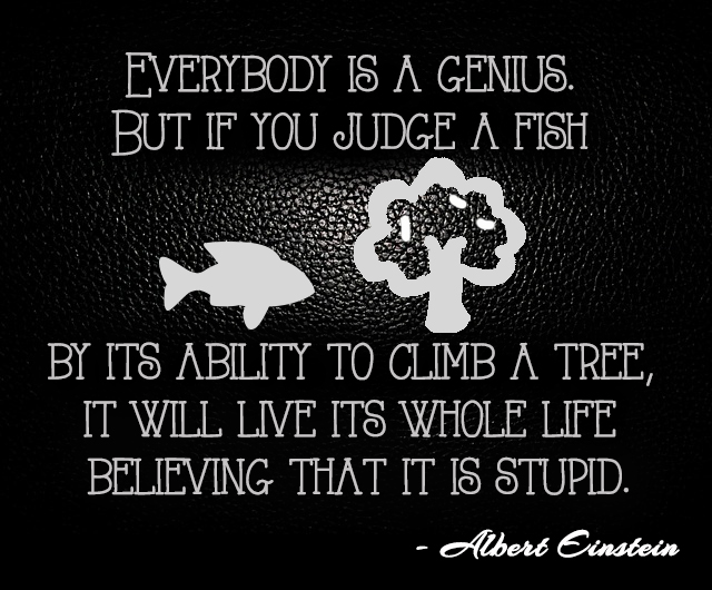 Everybody is a genius