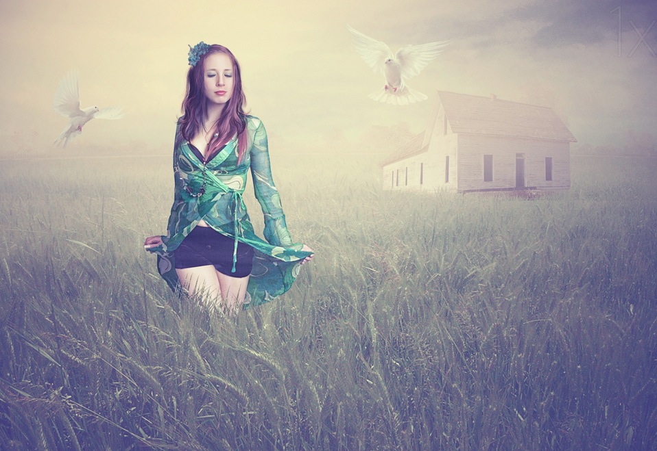 Field of Dreams