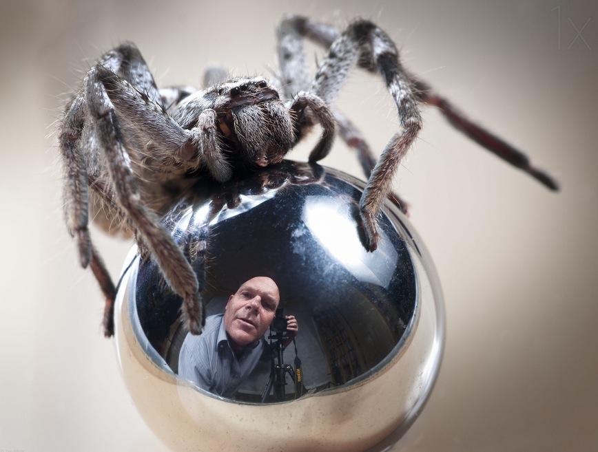 Self-Portrait with Spider