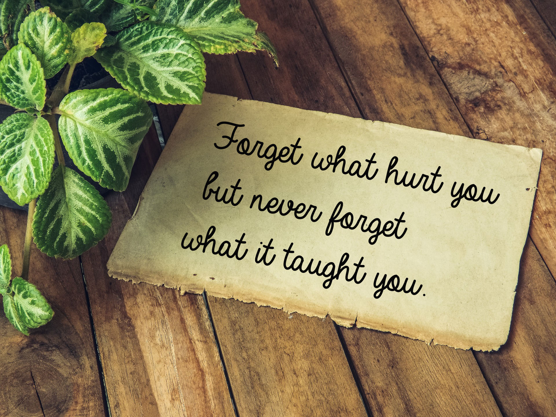 Forget what hurt you but never forget what it taught you