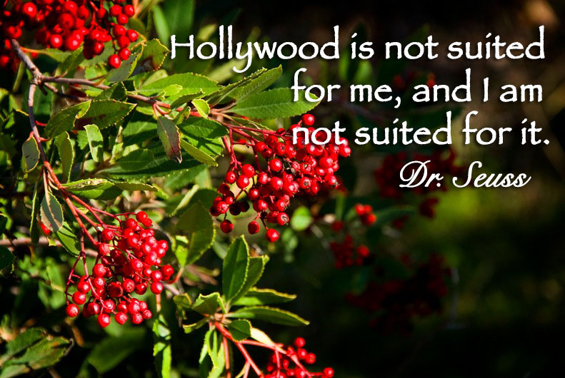 Hollywood is not suited for me, and I am not suited for it