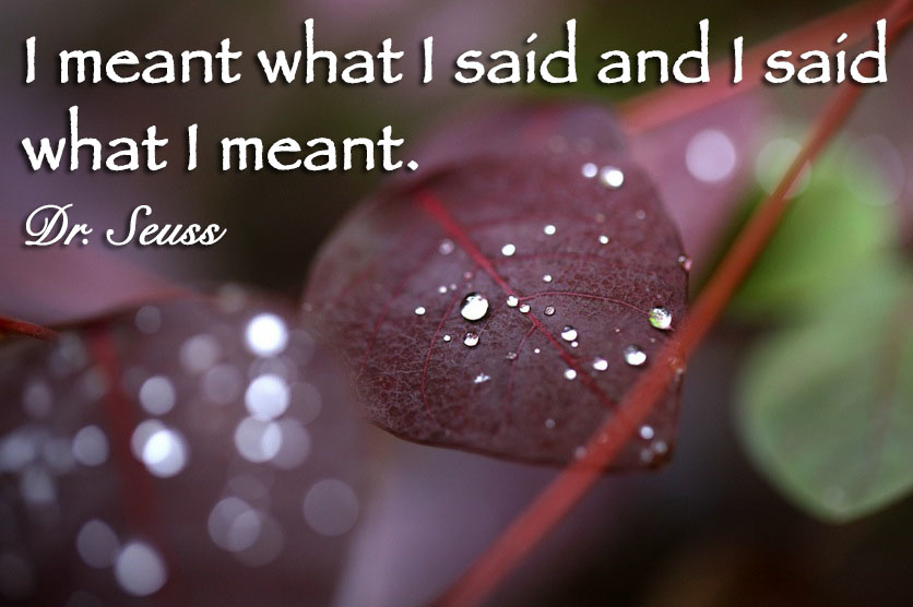 I meant what I said and I said what I meant