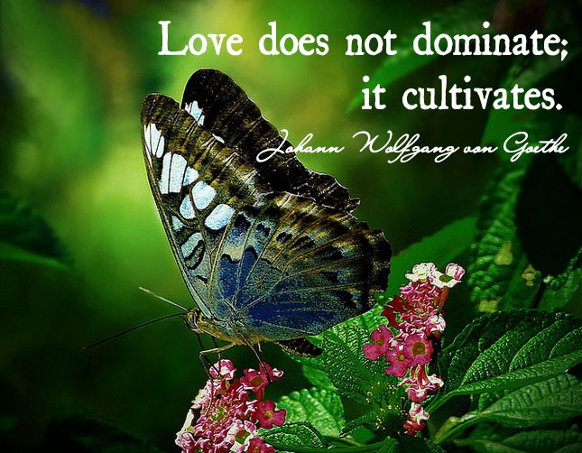 Love does not dominate it cultivates