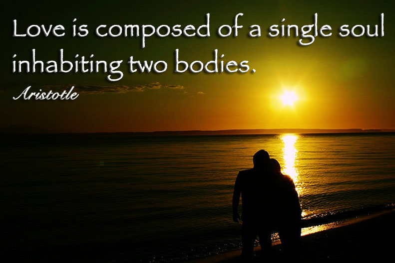 Love is composed of a single soul inhabiting two bodies