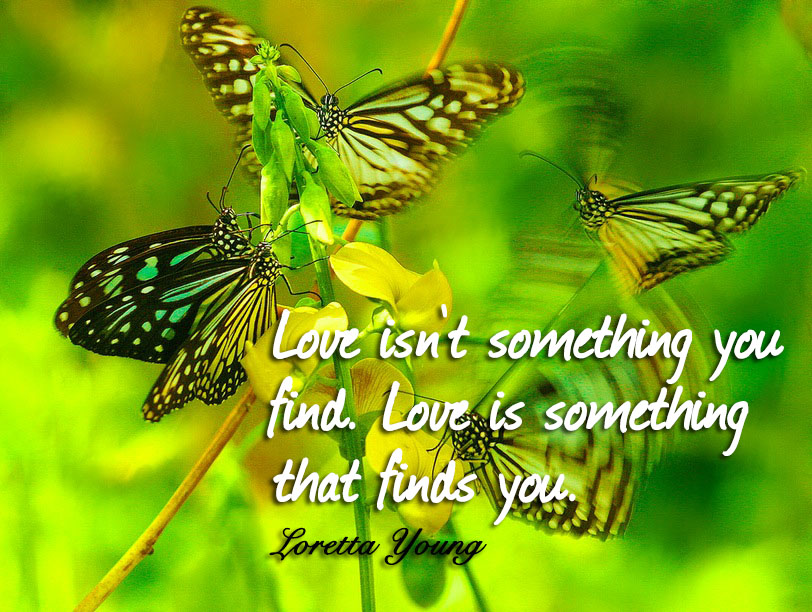 Love isn't something you find. Love is something that finds you