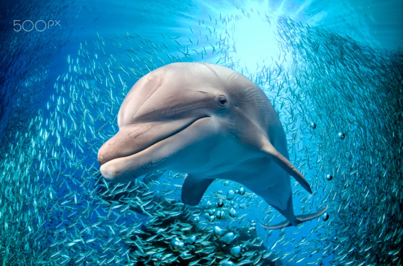 Smile for the camera