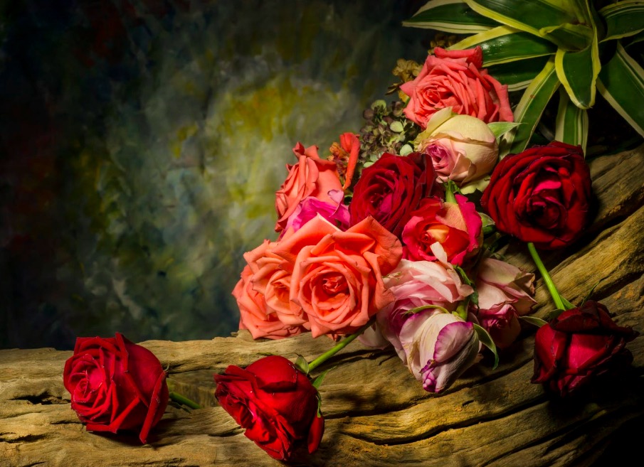 Still life with Rose flower