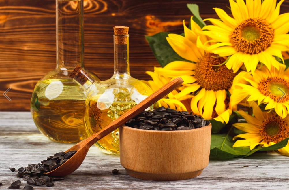 Sunflowers, bottle with oil and sunflower seeds