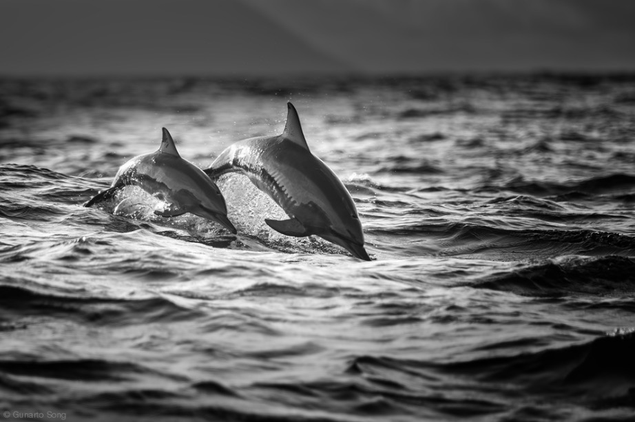 The Mother and the Baby