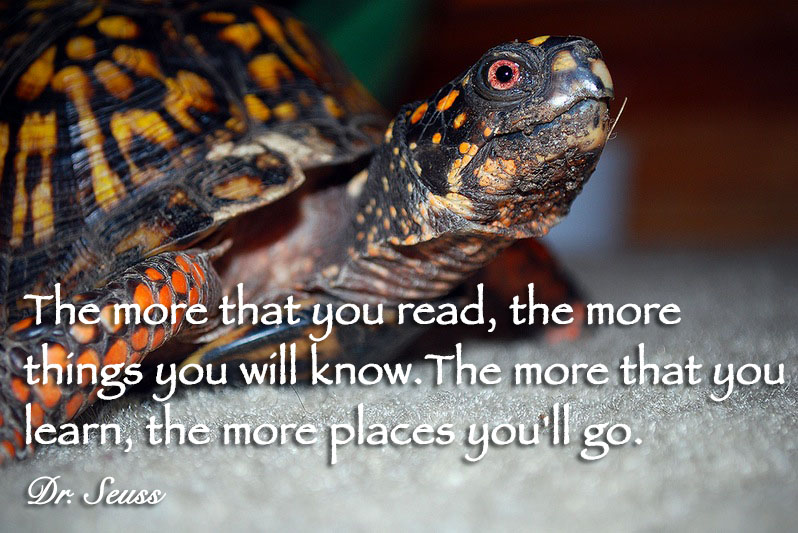 The more that you read, the more things you will know. The more that you learn, the more places you'll go