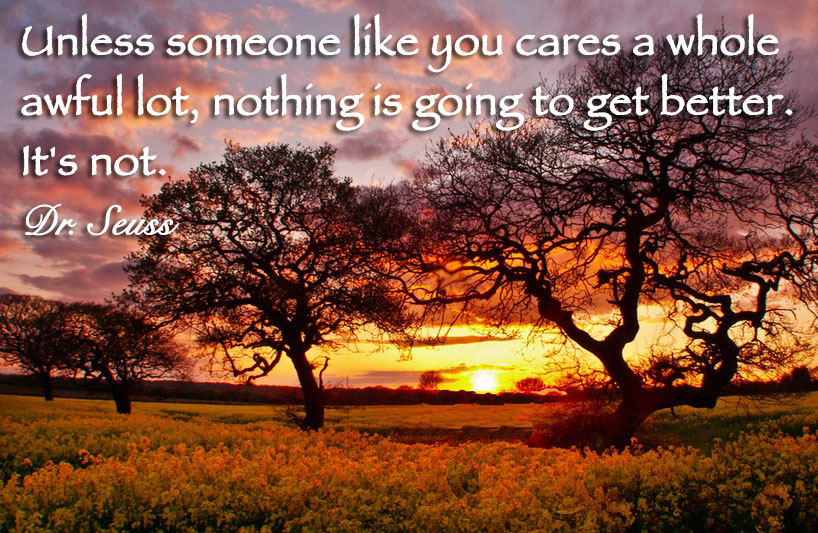 Unless someone like you cares a whole awful lot, nothing is going to get better. It's not