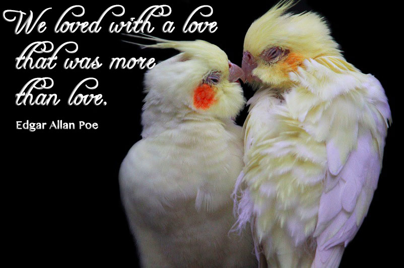 We loved with a love that was more than love