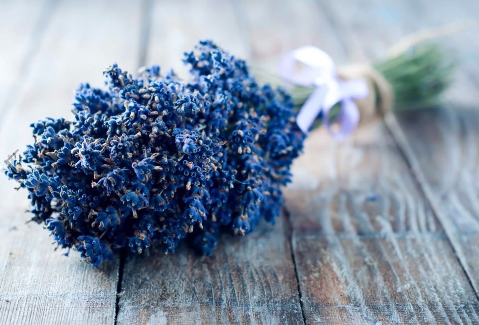 bunch of lavender flowers