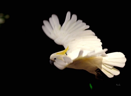 exploring my shutter speed