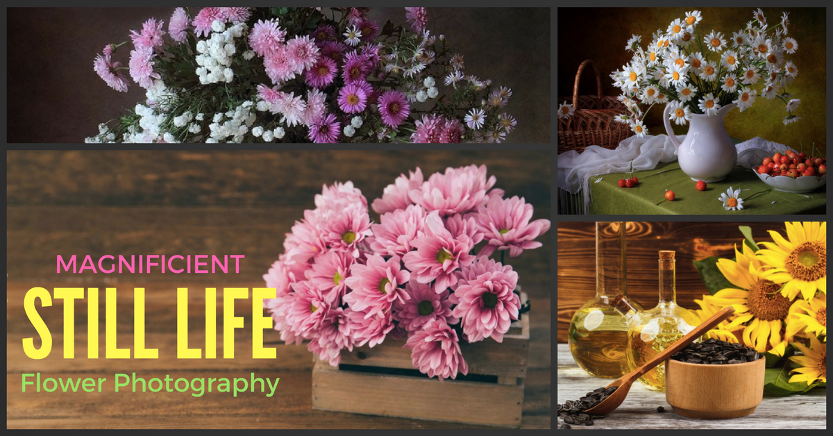 flower photography