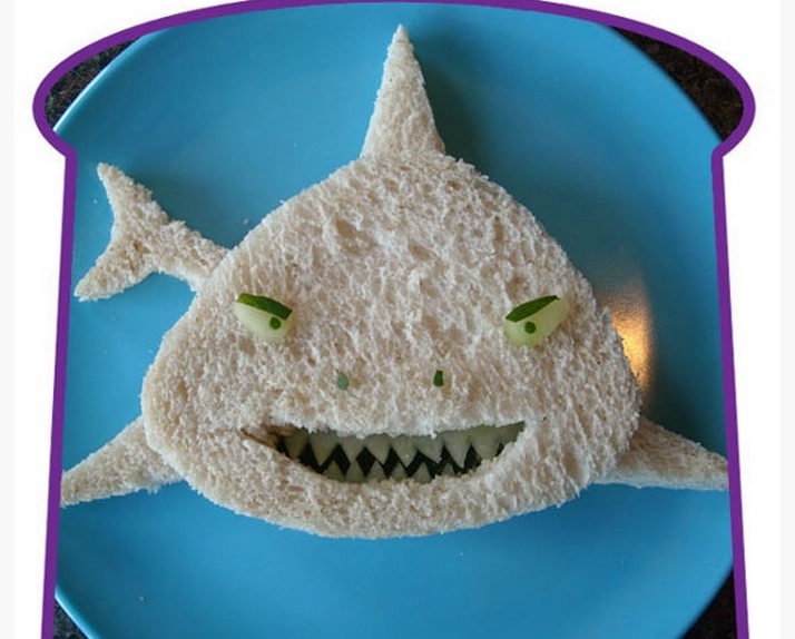 shark food