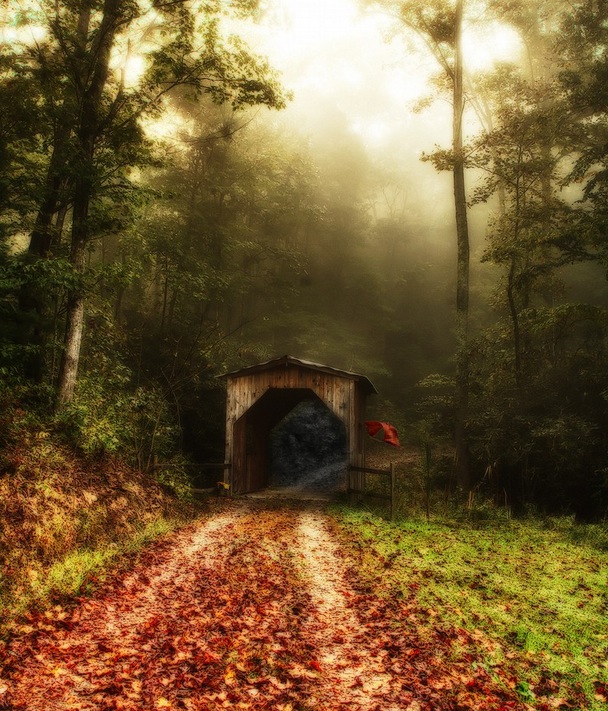 Foggy Lane and the red shawl