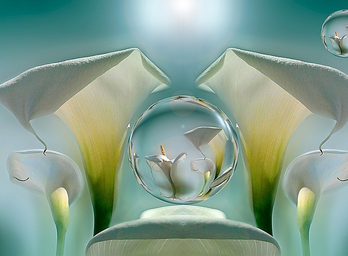 Looking to the Light