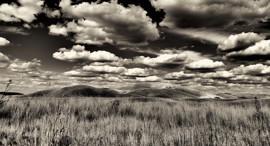 The Land In Black And White
