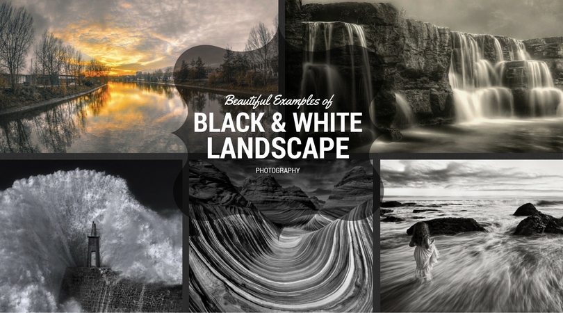 black and white landscape photography