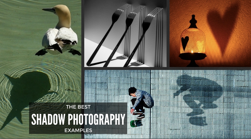 best-shadow-photography-examples