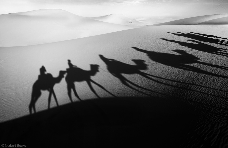 desert-shadows