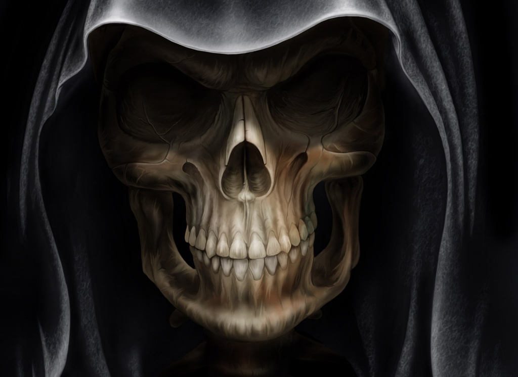 a skull