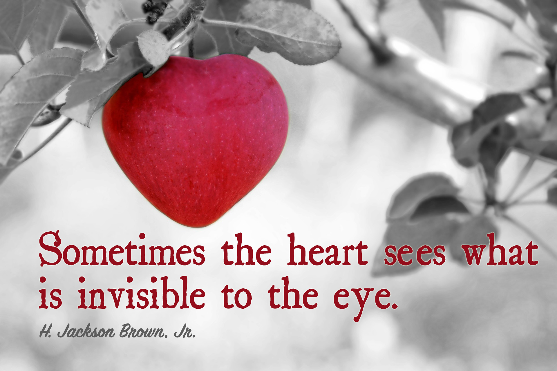 Sometimes the heart sees what is invisible to the eye.