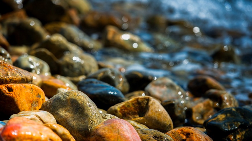 a-sharp-image-with-brilliant-colours